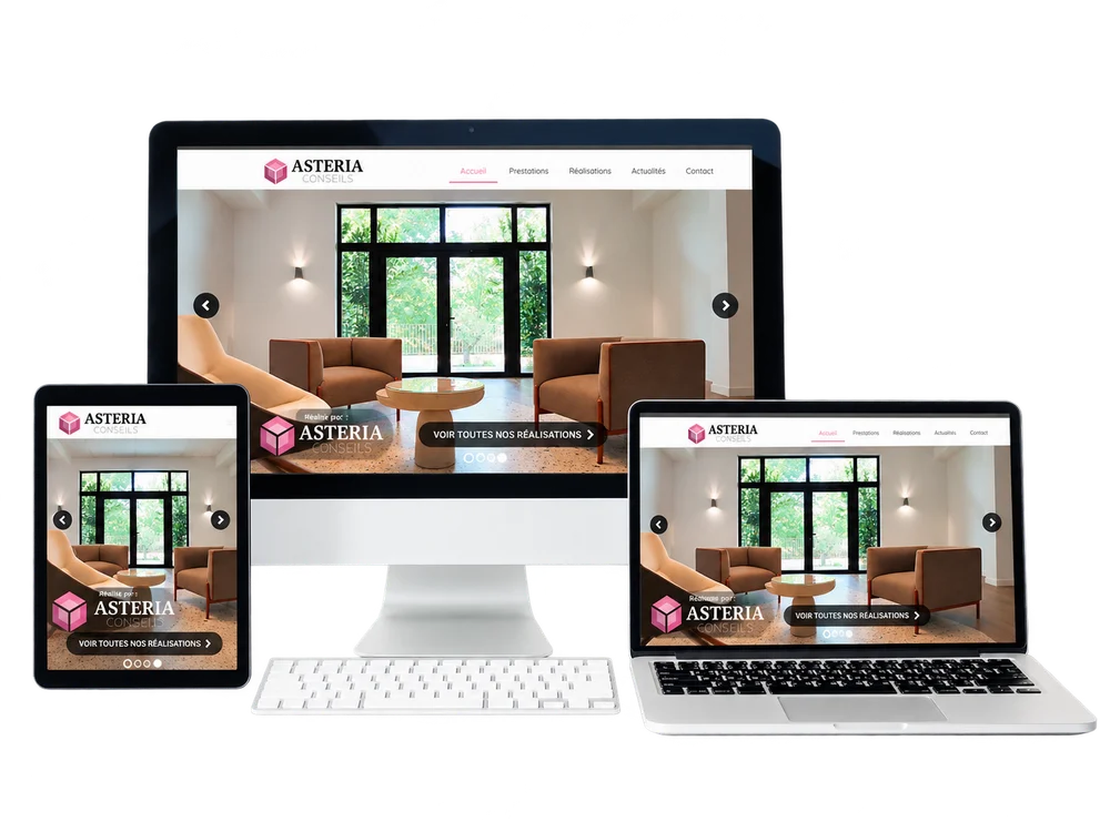 Aperçu du site Asteria Conseils